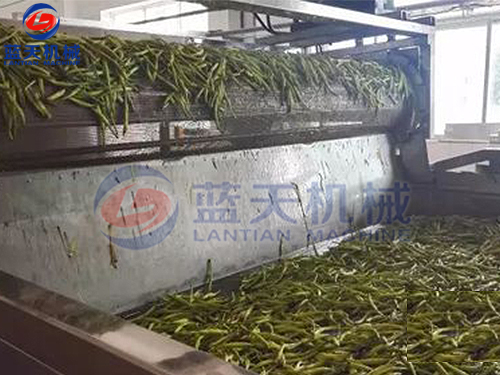 湖南帶式果蔬烘干機(jī)用戶(hù)現(xiàn)場(chǎng)