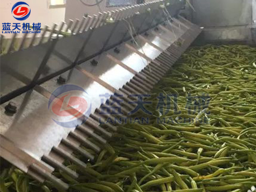 湖南帶式果蔬烘干機(jī)用戶(hù)現(xiàn)場(chǎng)