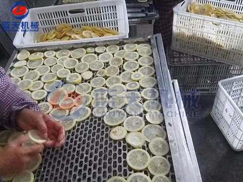 云南水果烘干機(jī)用戶現(xiàn)場