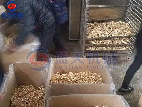 云南水果烘干機(jī)用戶現(xiàn)場