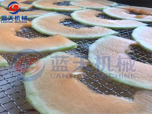 廣西水果烘干機(jī)用戶現(xiàn)場(chǎng)